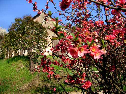 Valsanzibio - Galzignano Terme - Colli Euganei - Padova