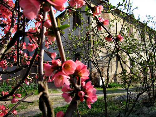 Valsanzibio - Galzignano Terme - Colli Euganei - Padova