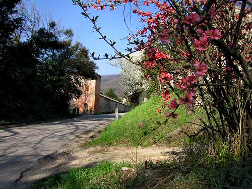 Valsanzibio - Galzignano Terme - Colli Euganei - Padova