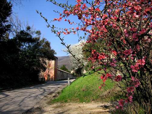 Valsanzibio - Galzignano Terme - Colli Euganei - Padova