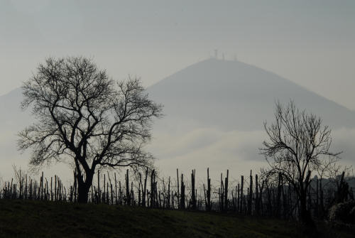 Valsanzibio - Galzignano Terme - Colli Euganei - Padova
