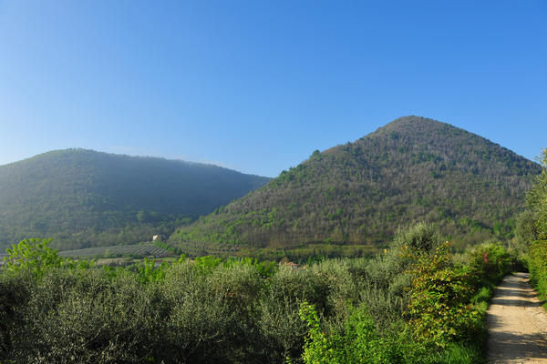 Valsanzibio, monte Ventolone, Calto Callegaro - Colli Euganei