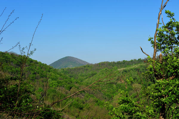 Valsanzibio, monte Ventolone, Calto Callegaro - Colli Euganei