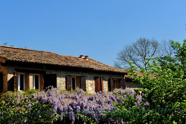 Valsanzibio, monte Ventolone, Calto Callegaro - Colli Euganei
