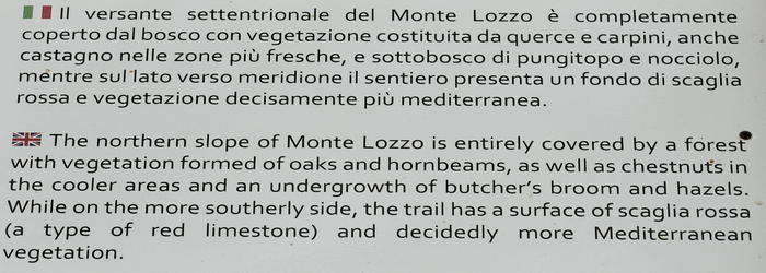 Parco Naturale Regionale Colli Euganei Monte Lozzo Atestino Castello di Valbona