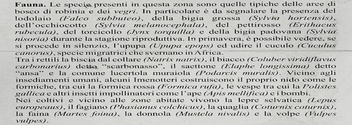 Parco Naturale Regionale Colli Euganei Monte Lozzo Atestino Castello di Valbona