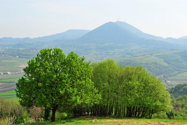 passeggiata Monte di Lozzo Atestino e Castello di Valbona, Colli Euganei