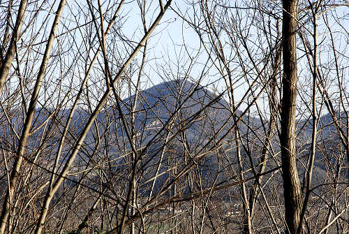 Monte di Lozzo Atestino, Parco Naturale Regionale dei Colli Euganei