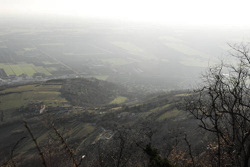 Monte di Lozzo Atestino, Parco Naturale Regionale dei Colli Euganei