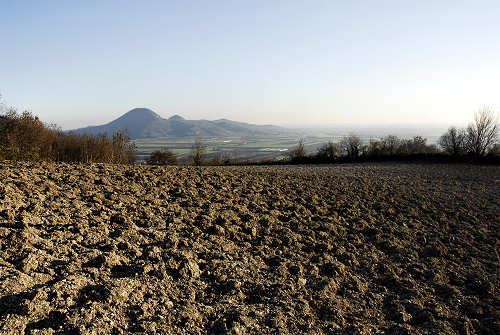 Monte di Lozzo Atestino, Parco Naturale Regionale dei Colli Euganei