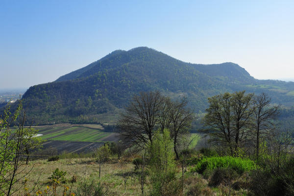 Sentiero del Monte Ricco e Monte Castello a Monselice