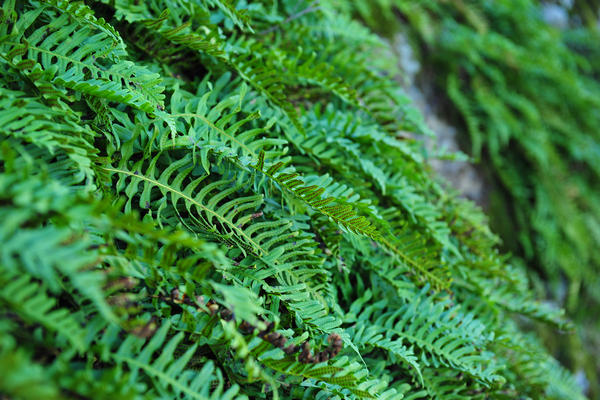 giro delle creste del monte Ceva dal Parco Cava Monte Croce a Battaglia Terme