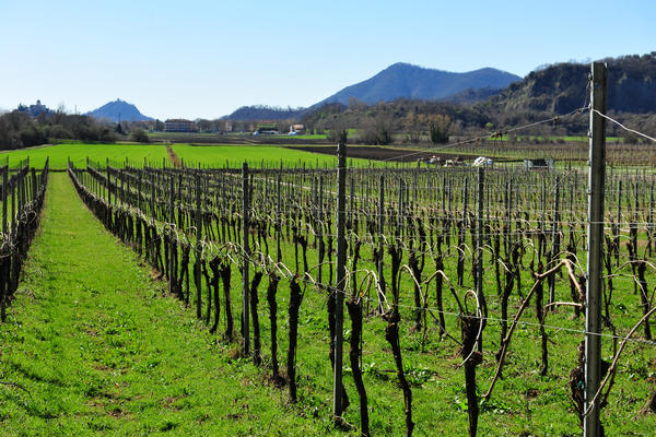 giro delle creste del monte Ceva dal Parco Cava Monte Croce a Battaglia Terme