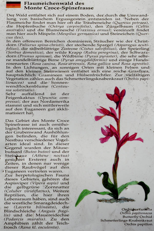 Monte Ceva da Battaglia Terme