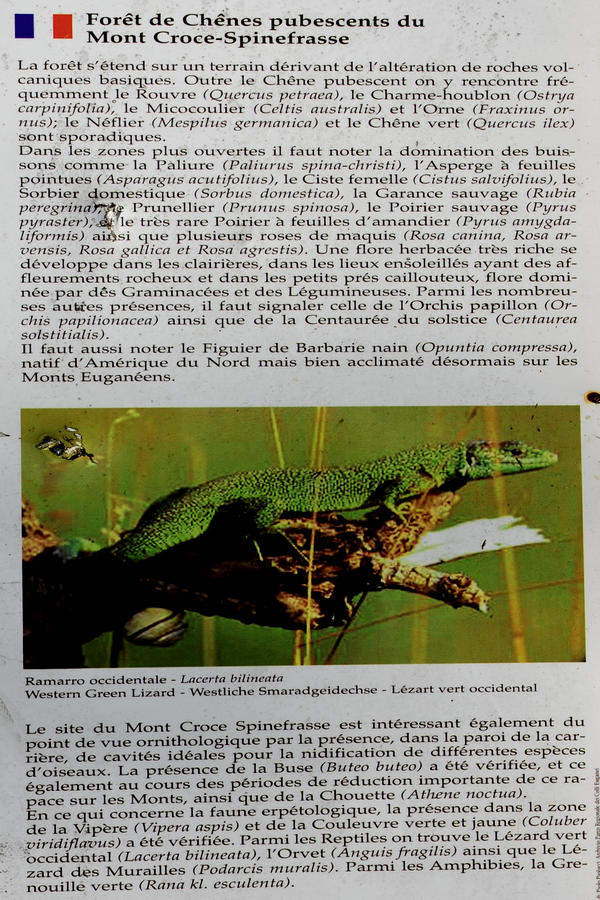 Monte Ceva da Battaglia Terme