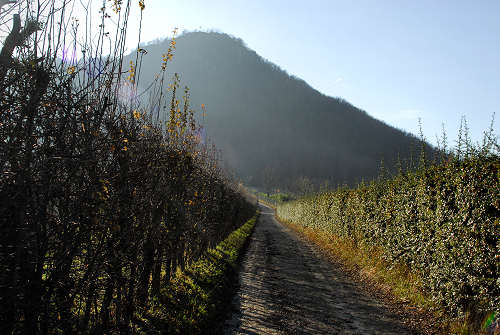 Monte Ceva, Turri di Montegrotto Terme - Colli Euganei, Padova