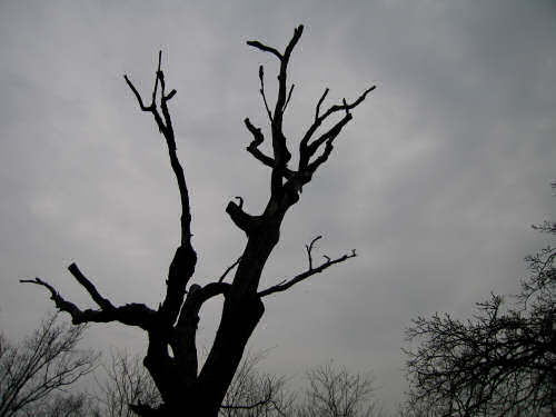 Montegrotto Terme, anello di Villa Draghi - Colli Euganei, Padova
