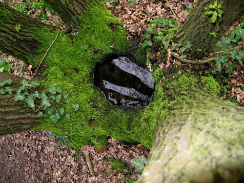 Montegrotto Terme, anello di Villa Draghi - Colli Euganei, Padova