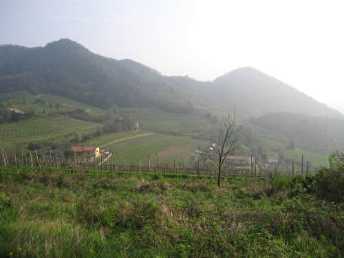 Montegrotto Terme, anello di Villa Draghi - Colli Euganei, Padova