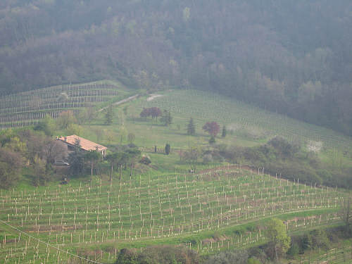Montegrotto Terme, anello di Villa Draghi - Colli Euganei, Padova