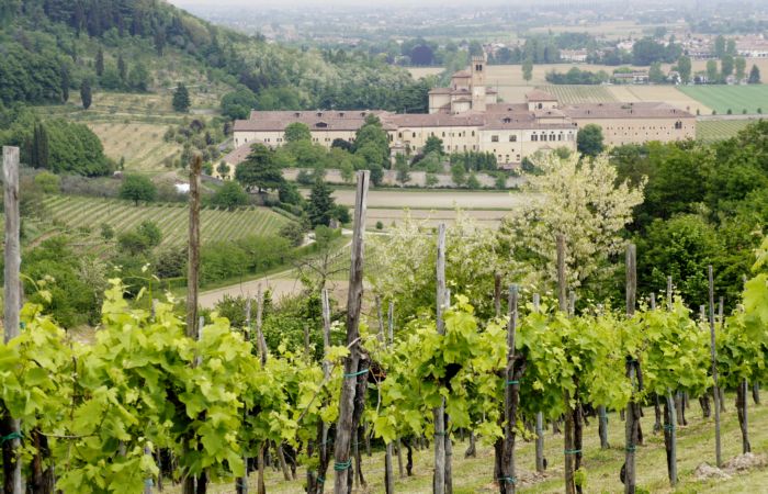 Abbazia Benedettina di Praglia a Teolo nei Colli Euganei, Padova
