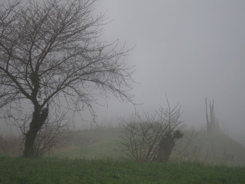 Col del Vento e Forche del Diavolo - Castelnuovo di Teolo - Colli Euganei