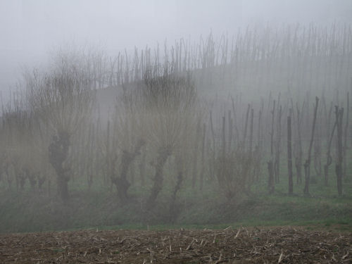 Col del Vento e Forche del Diavolo - Castelnuovo di Teolo - Colli Euganei