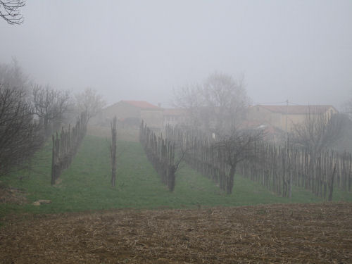 Col del Vento e Forche del Diavolo - Castelnuovo di Teolo - Colli Euganei