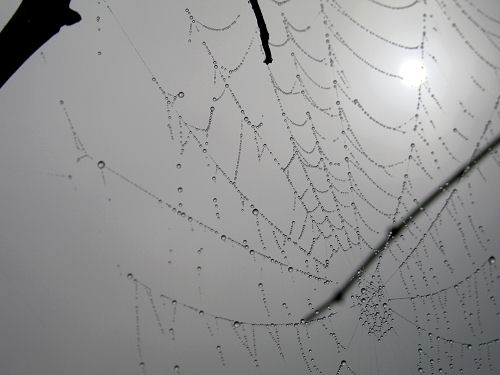 Col del Vento e Forche del Diavolo - Castelnuovo di Teolo - Colli Euganei
