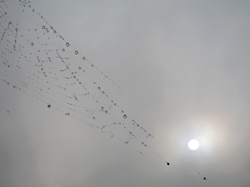 Col del Vento e Forche del Diavolo - Castelnuovo di Teolo - Colli Euganei