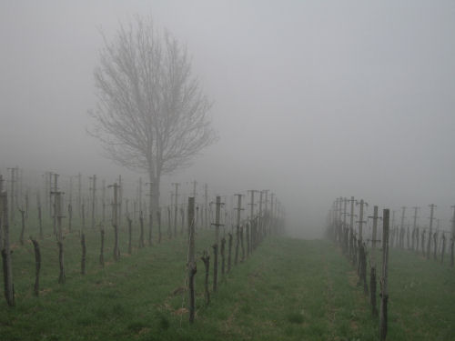 Col del Vento e Forche del Diavolo - Castelnuovo di Teolo - Colli Euganei