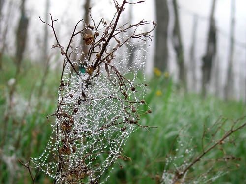 Col del Vento e Forche del Diavolo - Castelnuovo di Teolo - Colli Euganei