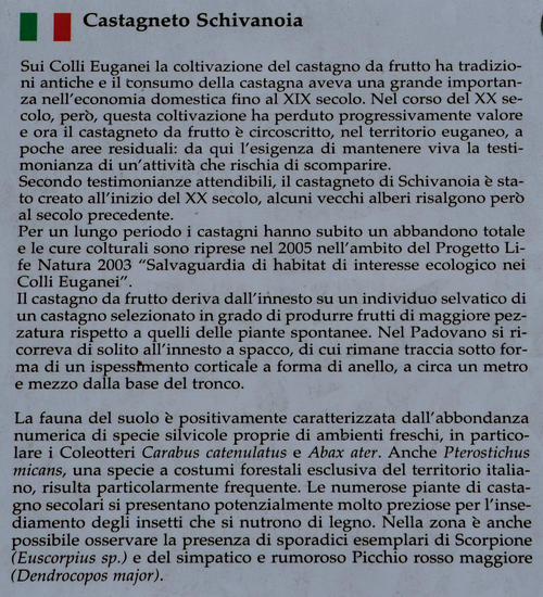 Castagneto Schivanoia, cascata Teolo, Passo del Vento, Rocca Pendice