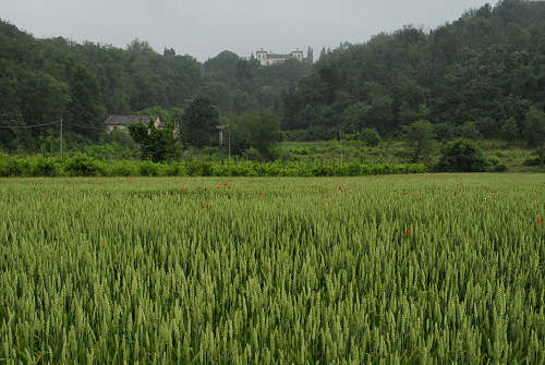 Bastia di Rovolon - Colli Euganei