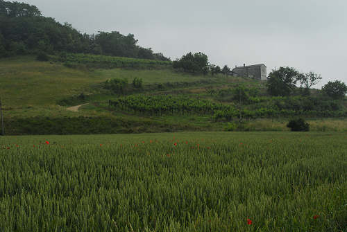 Bastia di Rovolon - Colli Euganei