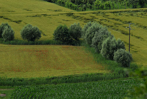 Bastia di Rovolon - Colli Euganei