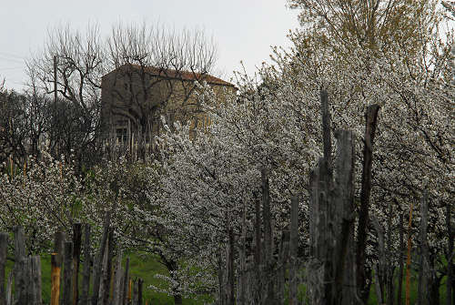 Carbonara di Rovolon - Monte Madonna, Colli Euganei