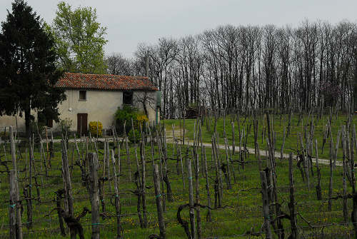 Carbonara di Rovolon - Monte Madonna, Colli Euganei