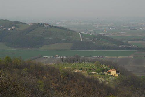 Carbonara di Rovolon - Monte Madonna, Colli Euganei