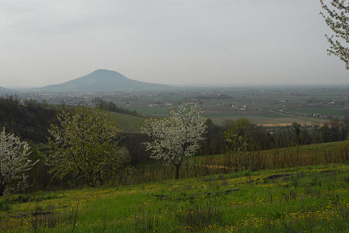 Carbonara di Rovolon - Monte Madonna, Colli Euganei