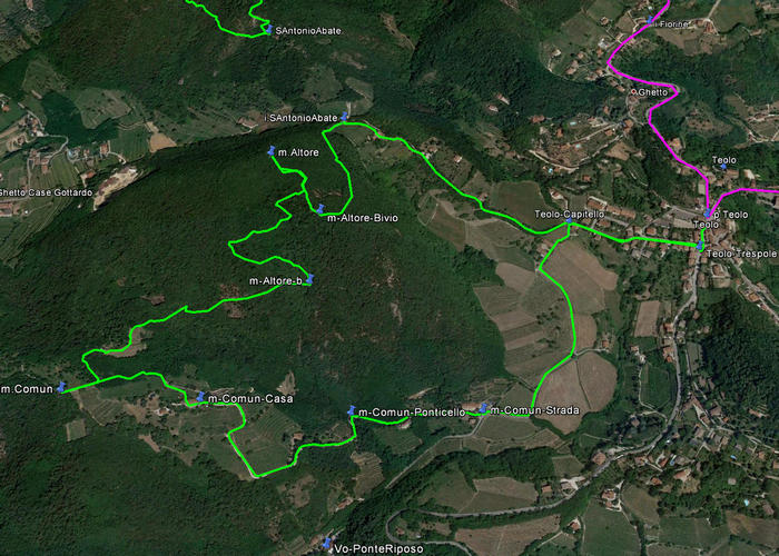 sentiero monte Altore a Teolo nei Colli Euganei