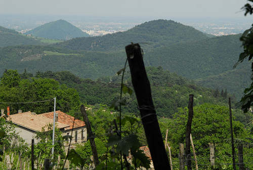 monte Altore, Teolo, Colli Euganei