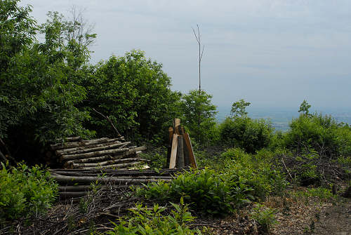 monte Altore, Teolo, Colli Euganei