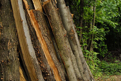 monte Altore, Teolo, Colli Euganei