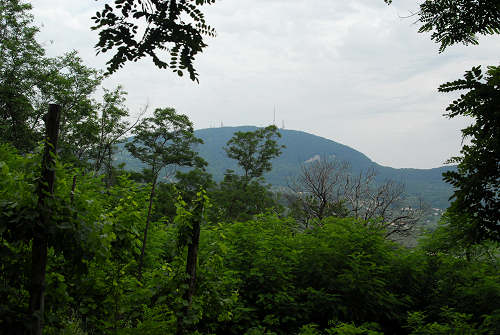monte Altore, Teolo, Colli Euganei