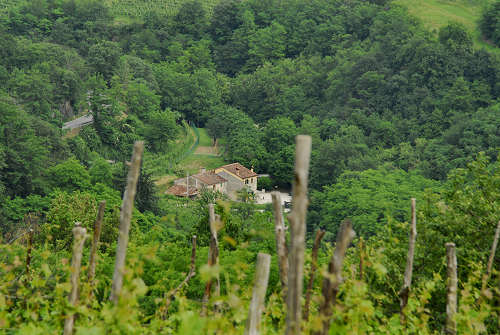 monte Altore, Teolo, Colli Euganei
