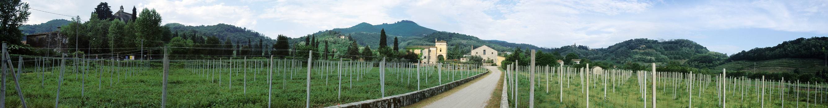 Colli Euganei, Torreglia - dai pressi dell'azienda vitivinicola Bernardi