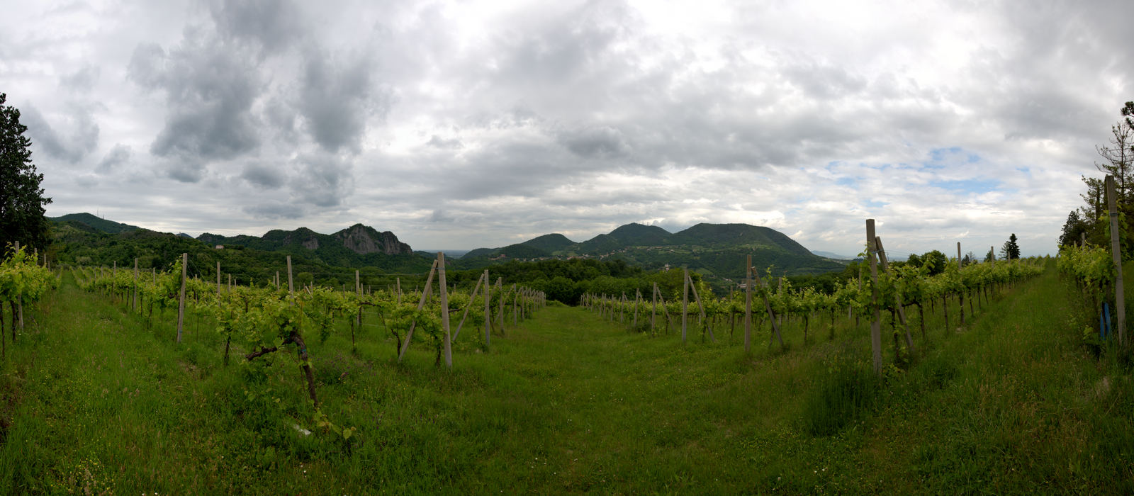 Colli Euganei, Terre Bianche a Luvigliano di Torreglia
