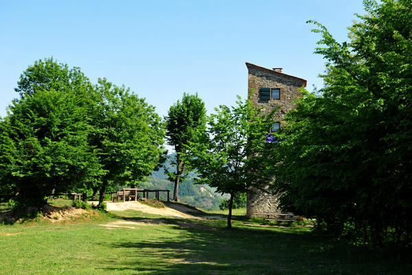 Roccolo Bonato sul Monte Rua a Torreglia, Colli Euganei