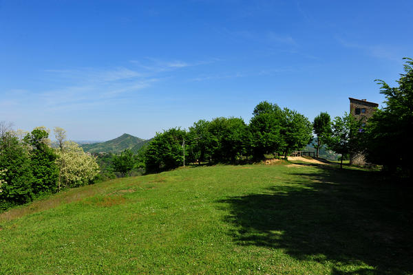 Roccolo Bonato sul Monte Rua a Torreglia, Colli Euganei